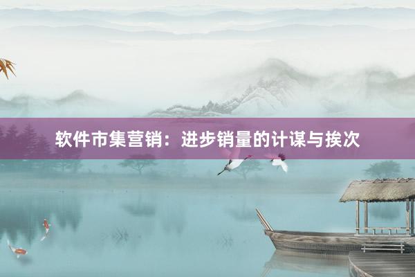 软件市集营销：进步销量的计谋与挨次